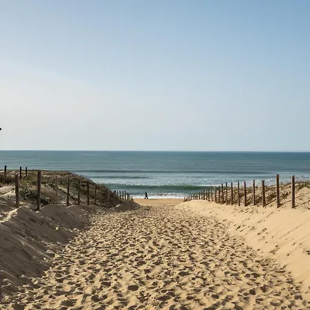 4 Pers A Plage, Confort Entre Ocean Et Foret, Terrasse Ensoleillee - Fr-1-50-148 Apartment *