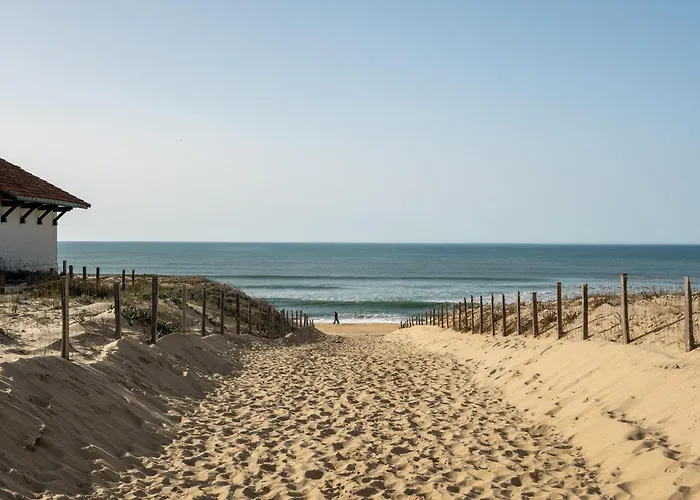 4 Pers A Plage, Confort Entre Ocean Et Foret, Terrasse Ensoleillee - Fr-1-50-148 Appartement *